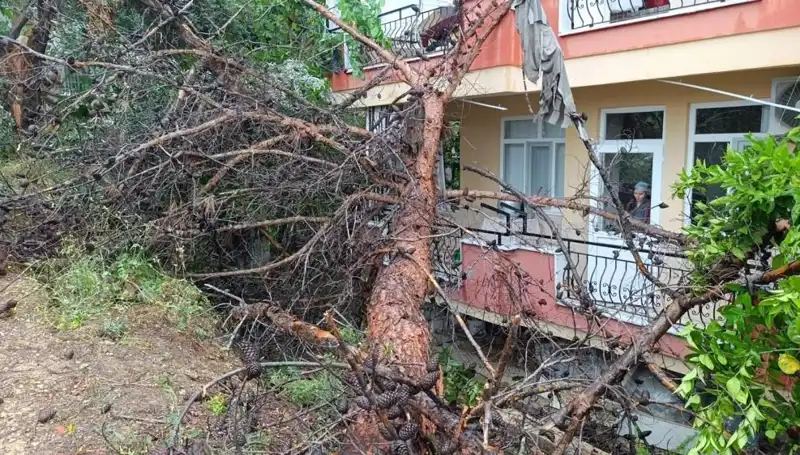 Heyecan Verici Anlar: Yağmur Sonrası Bina Çatısı Çöktü!