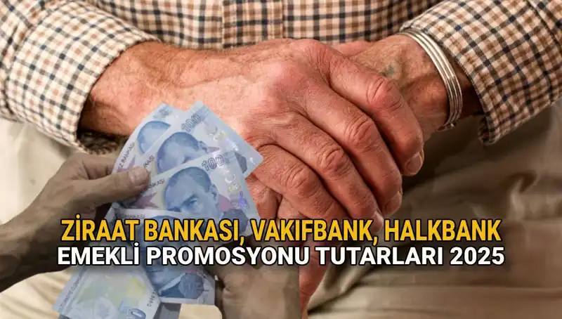 2025 Emekli Promosyonları: Kamu Bankalarının Rekabeti Dikkat Çekiyor!