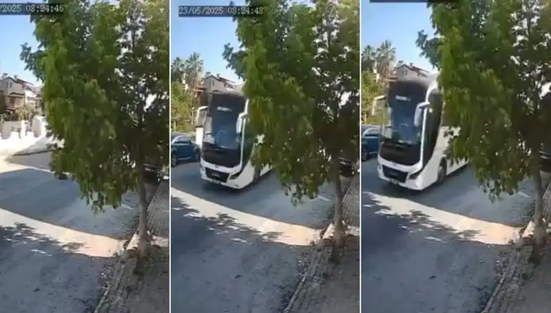 Yolda Yatan Köpeği Ezip Giden Araç Şok Etti