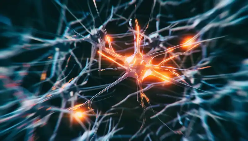 Alzheimer Vakalarındaki Artışın Arkasındaki Sebepler ve Çözüm Yolları