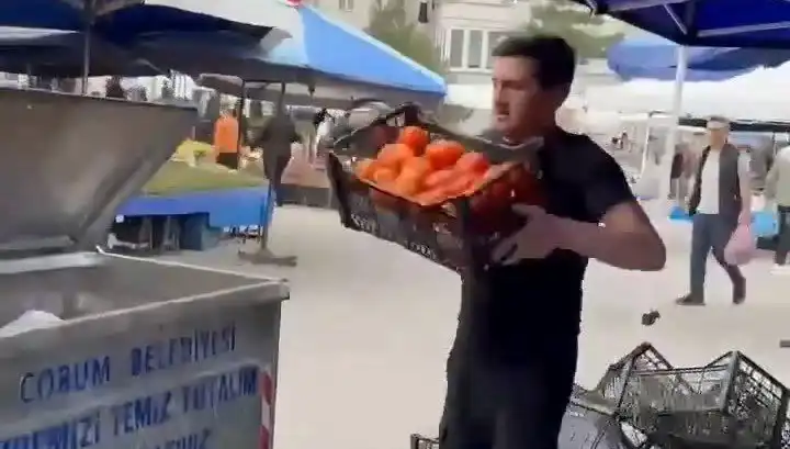 Domatesleri Çöpe Döken Pazarcıya Çarpıcı Para Cezası Verildi