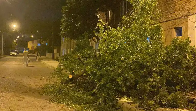 Karabük'te Fırtına: Doğa Felaketi ve Sonrası