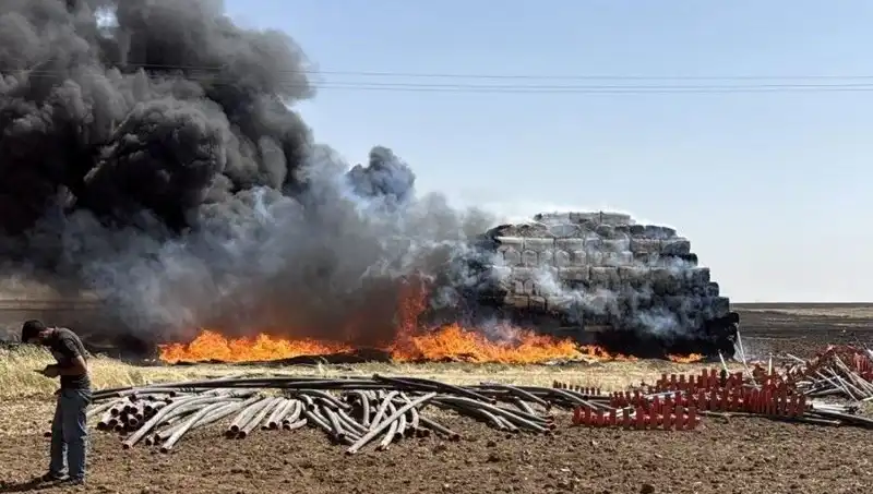 Mardin'de Günlerdir Sürünen Anız Yangını Panik Yarattı