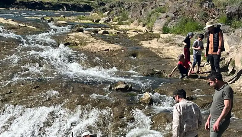 İnci Kefali Göçü: Doğanın İhtişamı ve Turizmin Yeni Cazibe Merkezi