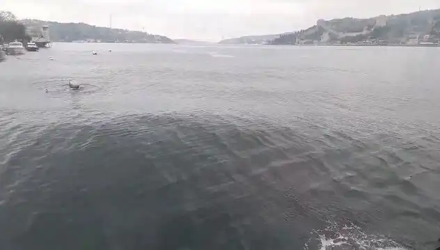 İstanbul Boğazı'nda Yükselen Dalgalar Heyecan Yarattı
