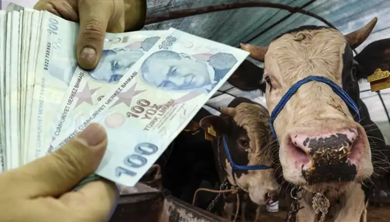 Emekli ve Memurların Maaşları Kurban Bayramı'ndan Önce Yatacak mı?