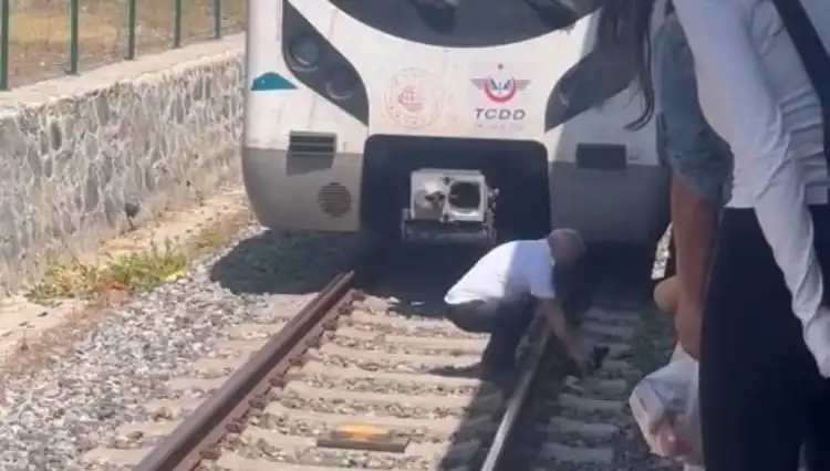 Marmaray'da Kediyi Kurtaran Makinist: Karmaşık Açı ve Sorumluluk