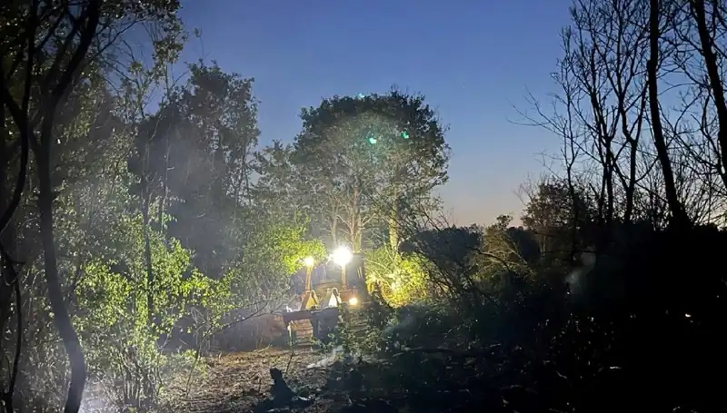 Edirne'nin Orman Yangını Kontrol Altına Alındı: Daha Fazla Zarar Önlenebildi