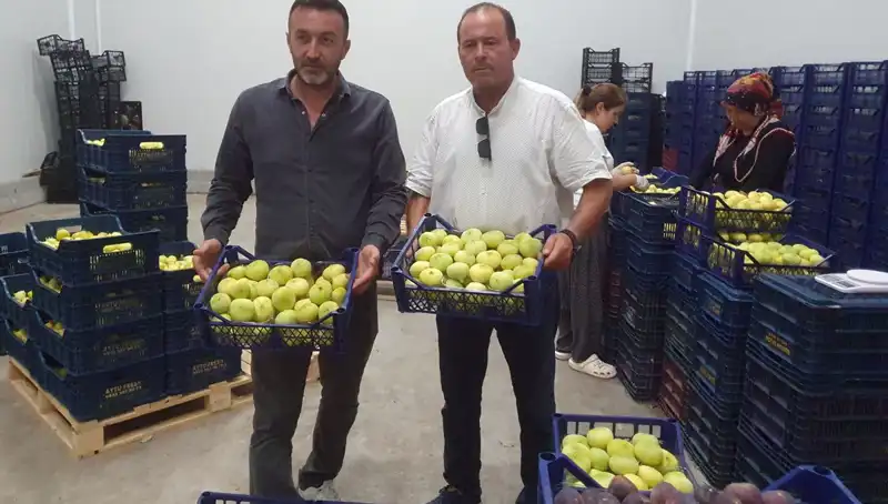 Mersinli Çiftçinin Yüzü Güldü: 20 TL'den İhraç Edilen Ürünler