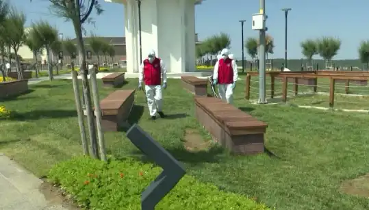 Kene Tehlikesi Artıyor: Halka Açık Alanlarda İlaçlama Faaliyetleri Başladı