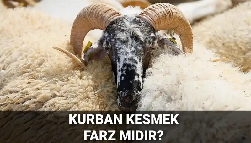 Kurban Kesiminde Diyanet’in Görüşleri: Farz mı, Sünnet mi?
