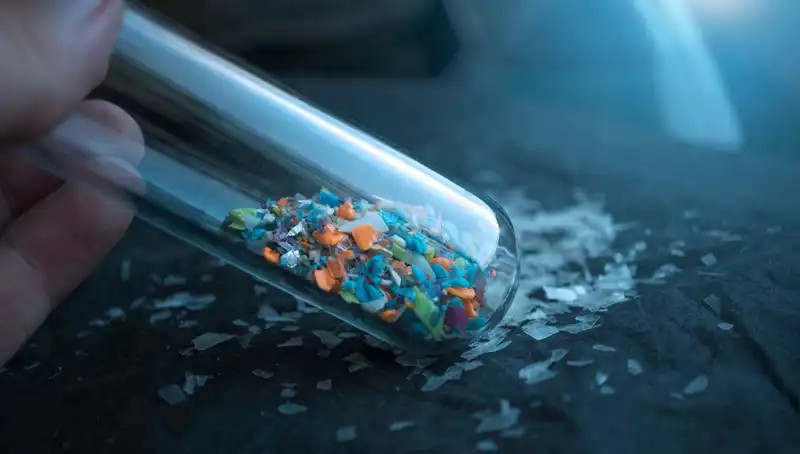 Mikroplastikler İnsan Beynini Tehdit Ediyor: Bilimsel Araştırmalar Elde Etti