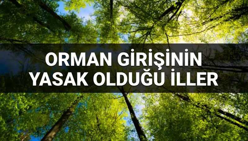 Orman Girişine Yasaklanan İller: 2025'te Hangi Bölgeler Etkilenecek?