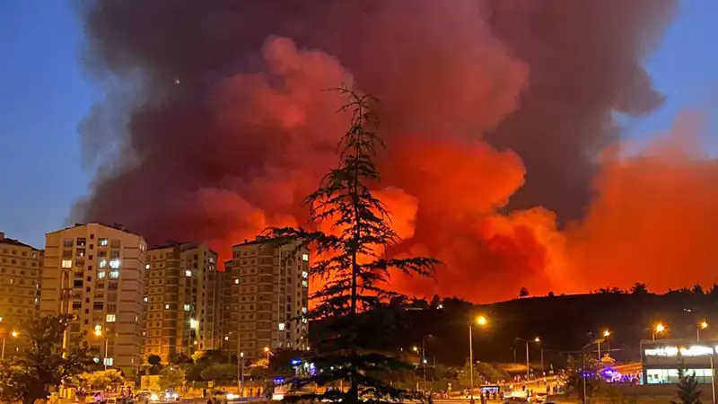Bursa'da Yangın Tehlikesi: Şehirde Neler Oluyor?