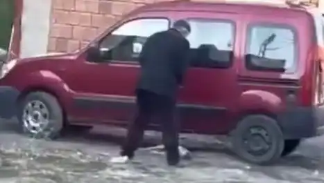 Sokak Ortasında Köpeğe Şiddet: Hayvan Hakları Savunucuları İsyan Etti