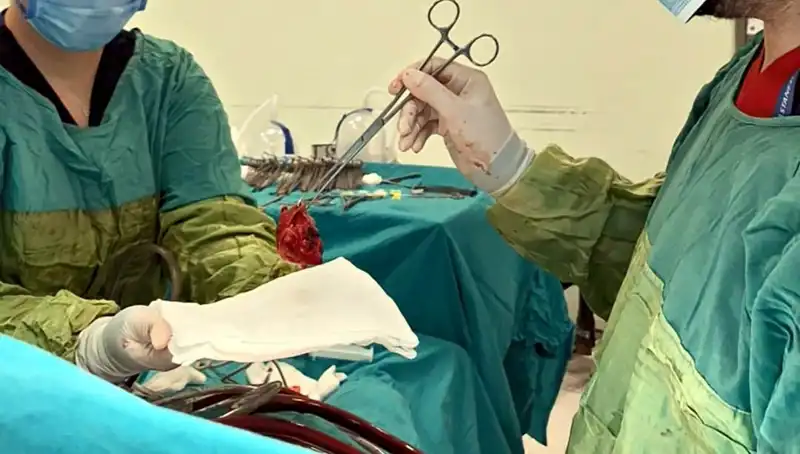 ** Kalp Kapağı Çürüyen Hastanın 7 Saatlik Ameliyatı: Mucizevi Başarı Öyküsü