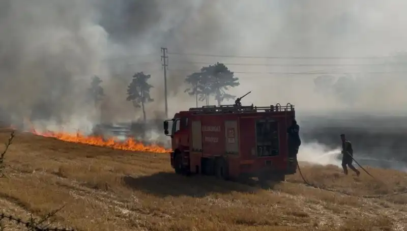 Kırklareli'nde Anız Yangını Paniğe Neden Oldu: Kısa Sürede Kontrol Altına Alındı
