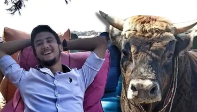 Aydın'da Güreş Boğası Korkunç Bir Olaya Daha İmza Attı!